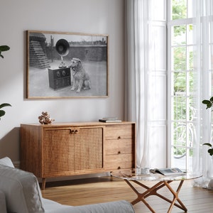 May include: A framed black and white photograph of a dog listening to a vintage gramophone. The dog is wearing headphones. The photograph is hanging above a wooden cabinet with a woven door and three drawers. A glass-topped coffee table and white curtains are also visible.