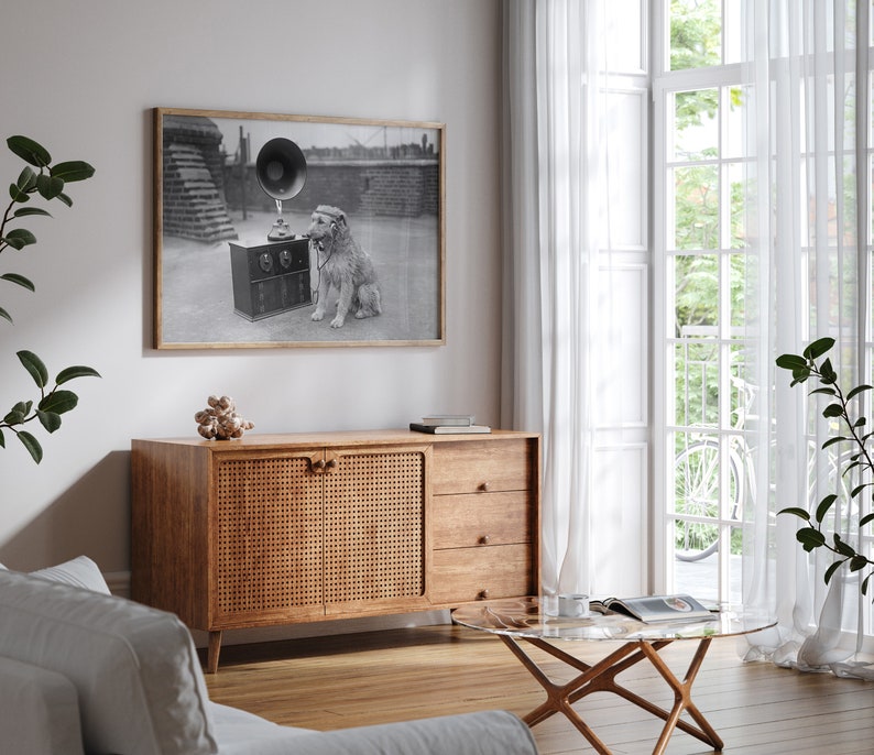 May include: A framed black and white photograph of a dog listening to a vintage gramophone. The dog is wearing headphones. The photograph is hanging above a wooden cabinet with a woven door and three drawers. A glass-topped coffee table and white curtains are also visible.