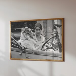 May include: Black and white framed print of a woman and a dog in a vintage car. The dog wears sunglasses and sits in the passenger seat. The woman is behind the steering wheel. The print is in a wooden frame.
