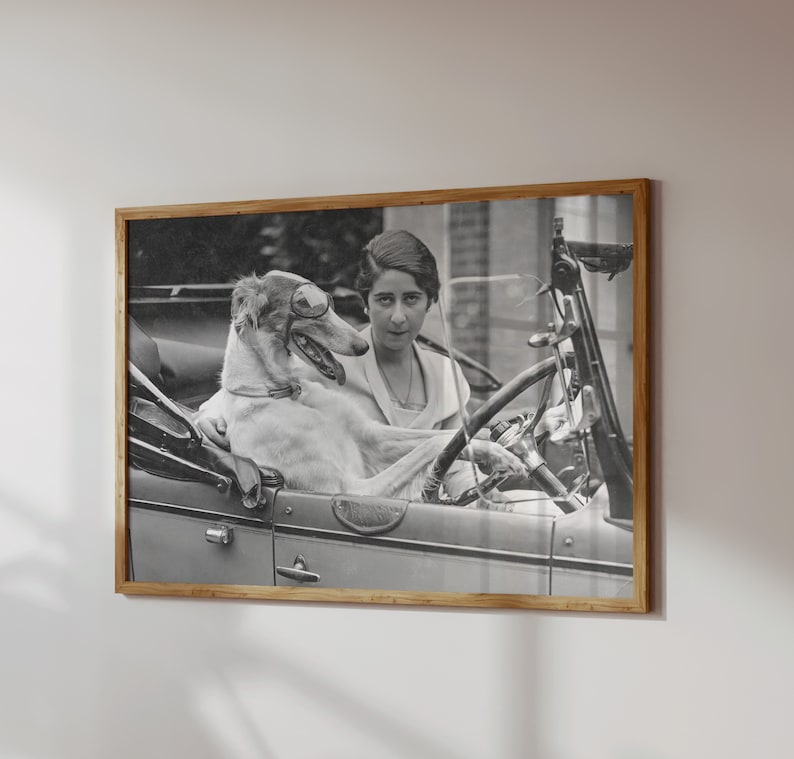 May include: Black and white framed print of a woman and a dog in a vintage car. The dog wears sunglasses and sits in the passenger seat. The woman is behind the steering wheel. The print is in a wooden frame.