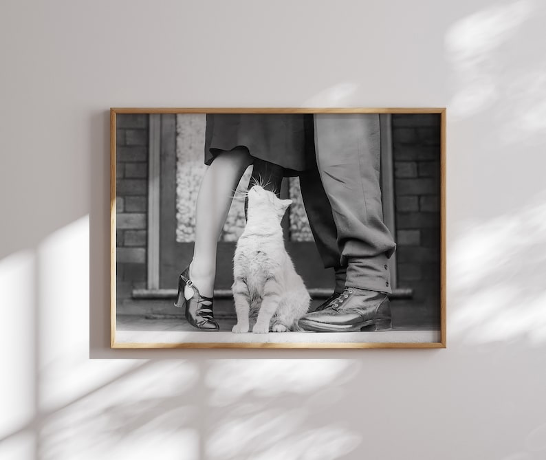 K&ouml;nnte beinhalten: Ein Schwarzwei&szlig;foto von einem Paar, das in einer T&uuml;r steht, mit einer wei&szlig;en Katze, die zwischen ihnen sitzt und zum Paar aufblickt.