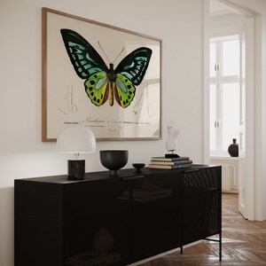 May include: A framed butterfly print with a detailed illustration in shades of green, blue, and yellow hangs above a black cabinet. The cabinet has a mesh design and is topped with a white lamp, a black bowl, and a small sculpture. The room has a modern aesthetic.