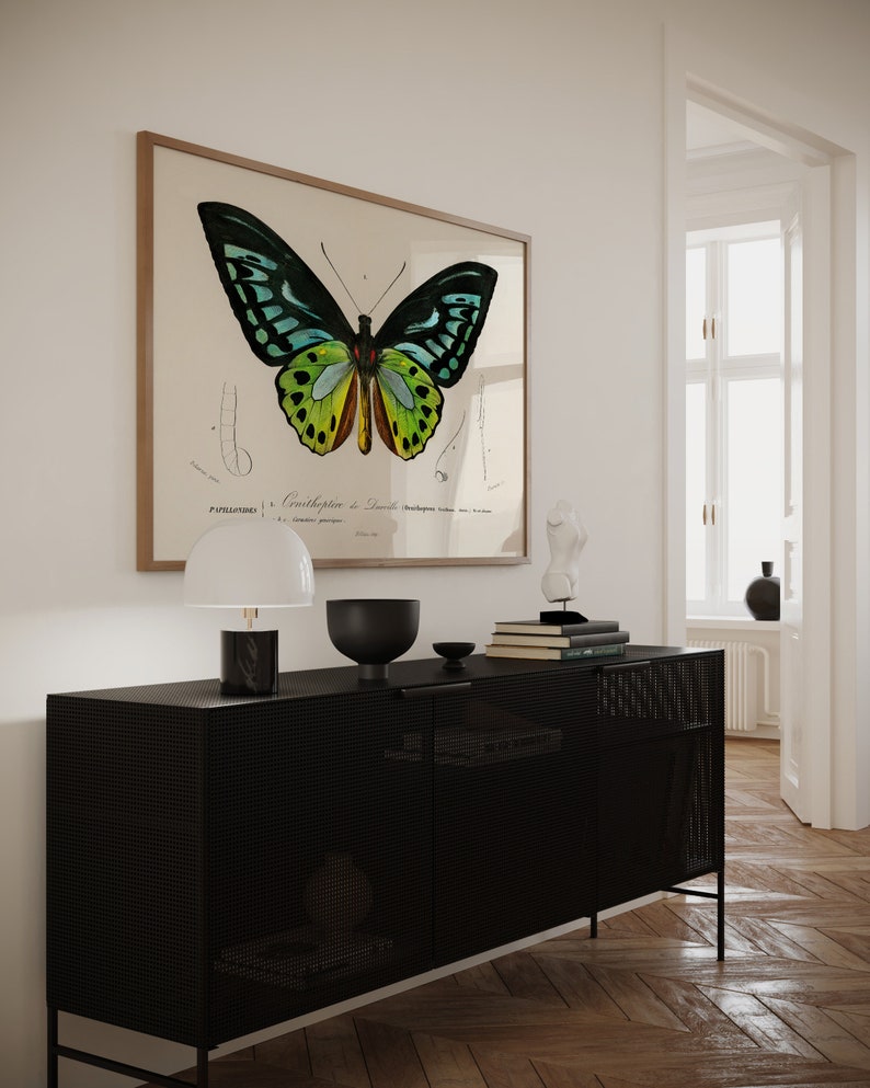 May include: A framed butterfly print with a detailed illustration in shades of green, blue, and yellow hangs above a black cabinet. The cabinet has a mesh design and is topped with a white lamp, a black bowl, and a small sculpture. The room has a modern aesthetic.