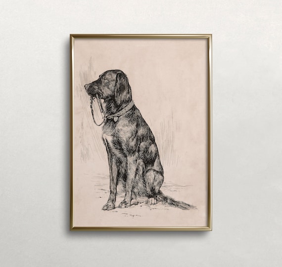 気品ある犬の肖像版画、アンティーク．リトグラフ 18549099.jpg