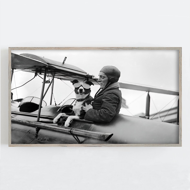 Peut inclure: Tirage encadr&eacute; en noir et blanc d'une photographie d'&eacute;poque. Une personne en uniforme de pilote est assise dans un cockpit ouvert avec un chien portant des lunettes de soleil. Le chien est assis dans le cockpit avec la personne. L'aile de l'avion est visible au-dessus.