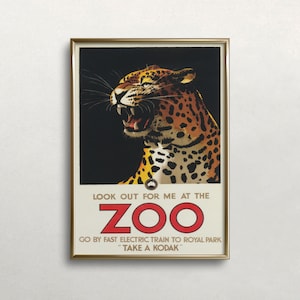 Leopard Australia Zoo Poster: Vintage Animal Wall Art (Digital Download)