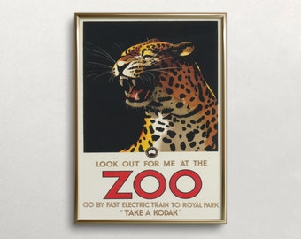 Leopard Australia Zoo Poster: Vintage Animal Wall Art (Digital Download)