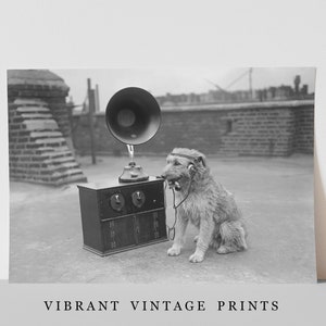 May include: Black and white vintage print featuring a dog wearing headphones and sitting next to an antique radio with a large horn speaker. The print has the text "VIBRANT VINTAGE PRINTS" at the bottom.