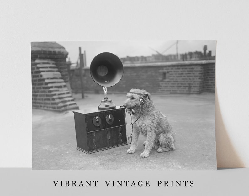 May include: Black and white vintage print featuring a dog wearing headphones and sitting next to an antique radio with a large horn speaker. The print has the text "VIBRANT VINTAGE PRINTS" at the bottom.