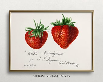 Strawberries Print | Vintage Wall Art | Fruit Wall Art | Farmhouse Kitchen Decor | Strawberry Print | DOWNLOAD | PRINTABLE Wall Art #294