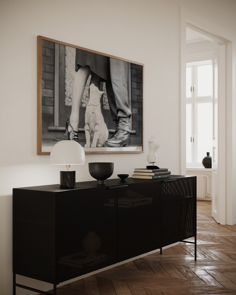 K&ouml;nnte beinhalten: Ein schwarzer Metallschrank mit einer Mesh-Front und zwei T&uuml;ren. Der Schrank steht auf einem Holzboden. Eine Lampe, eine Sch&uuml;ssel und ein Stapel B&uuml;cher stehen auf dem Schrank. Ein Schwarzwei&szlig;foto eines Paares und einer Katze h&auml;ngt an der Wand hinter dem Schrank.