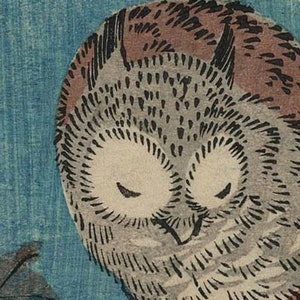 May include: A close-up of a sleeping owl with brown and gray feathers. The owl's eyes are closed and its beak is slightly open. The background is a light blue color.