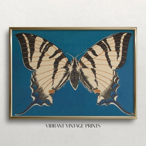 Schmetterling Wandkunst | Vintage Wand Kunst | Vintage Schmetterling Druck | Schmetterling-Wand-Dekor | Antiker Druck | Digitaler DOWNLOAD |DRUCKBARE Kunst 225