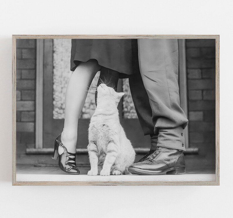 K&ouml;nnte beinhalten: Ein Schwarzwei&szlig;foto von einem Paar, das mit einer Katze dazwischen steht. Das Paar tr&auml;gt Kleidung aus den 1950er Jahren. Die Katze schaut das Paar an.