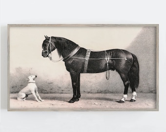Samsung Frame TV Art, Horse Wall Art, Vintage Wall Art, Horse and Dog, Neutral Wall Decor, Farmhouse Decor, Digital DOWNLOAD, Digital TV Art