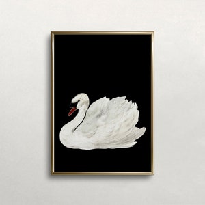 Swan Wall Art | Vintage Wall Art  | Dark Moody Colors | Vintage Swan Print | Antique Wall Decor | Digital DOWNLOAD | PRINTABLE Wall Art #310