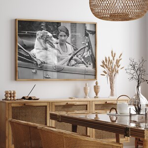May include: A framed black and white photograph depicts a woman and a dog in a vintage car. The dog, wearing goggles, sits beside the woman at the wheel. The photograph is displayed on a white wall above a wooden cabinet.
