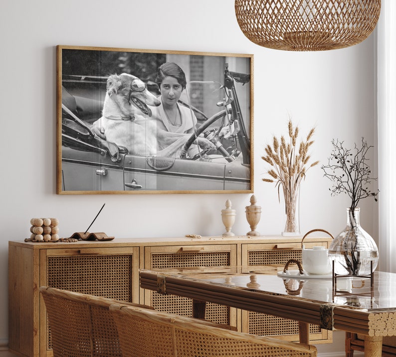 May include: A framed black and white photograph depicts a woman and a dog in a vintage car. The dog, wearing goggles, sits beside the woman at the wheel. The photograph is displayed on a white wall above a wooden cabinet.