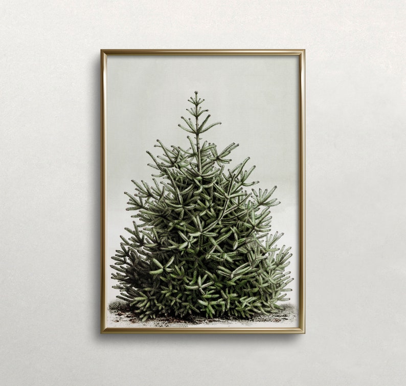 May include: A framed print featuring a detailed illustration of a green evergreen tree. The artwork showcases the tree's needles and branches, set against a light background. The frame is a thin, gold color, adding a touch of elegance to the botanical art.