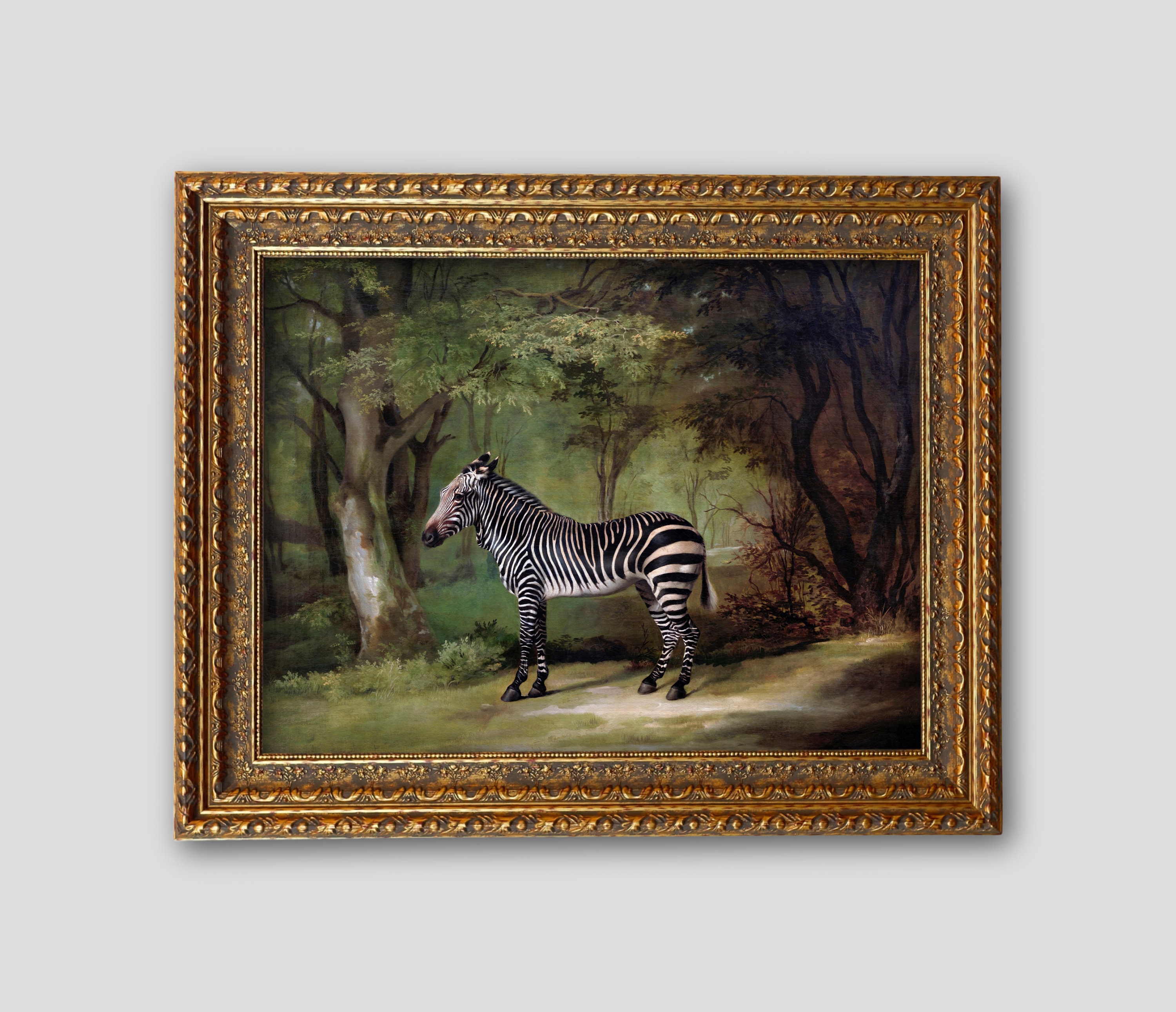 Vintage Zebra Art Print: 1763 Landscape (digital Download) - Etsy