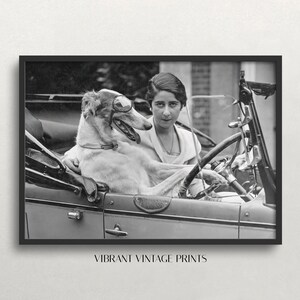 May include: Black and white vintage print of a woman and a dog in a classic car. The dog wears goggles and sits in the driver's seat. The woman is behind the steering wheel. The print is framed in black and has the text "VIBRANT VINTAGE PRINTS".
