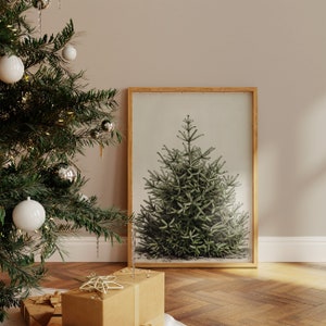May include: A framed botanical print of a green evergreen tree, leaning against a wall. The print has a light-colored background and a wooden frame. A decorated Christmas tree with ornaments and wrapped gifts are in the foreground.