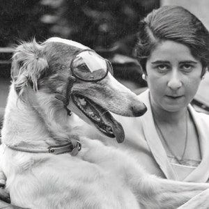 May include: Black and white photograph of a Borzoi dog wearing goggles, with a woman holding the dog. The dog has a long snout and is wearing a collar. The woman is looking at the camera.
