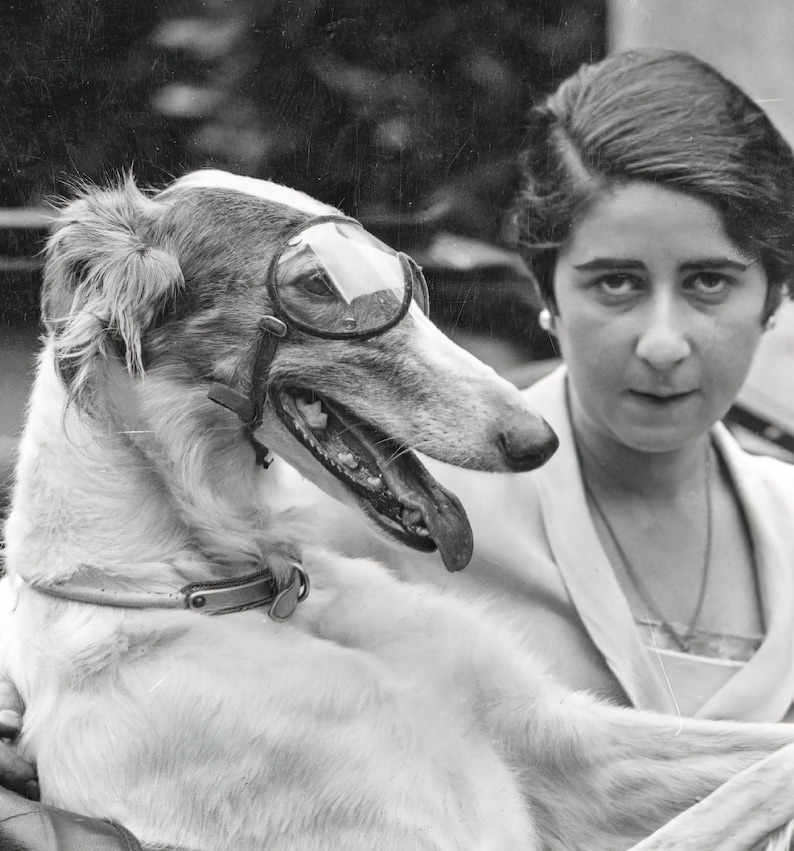 May include: Black and white photograph of a Borzoi dog wearing goggles, with a woman holding the dog. The dog has a long snout and is wearing a collar. The woman is looking at the camera.