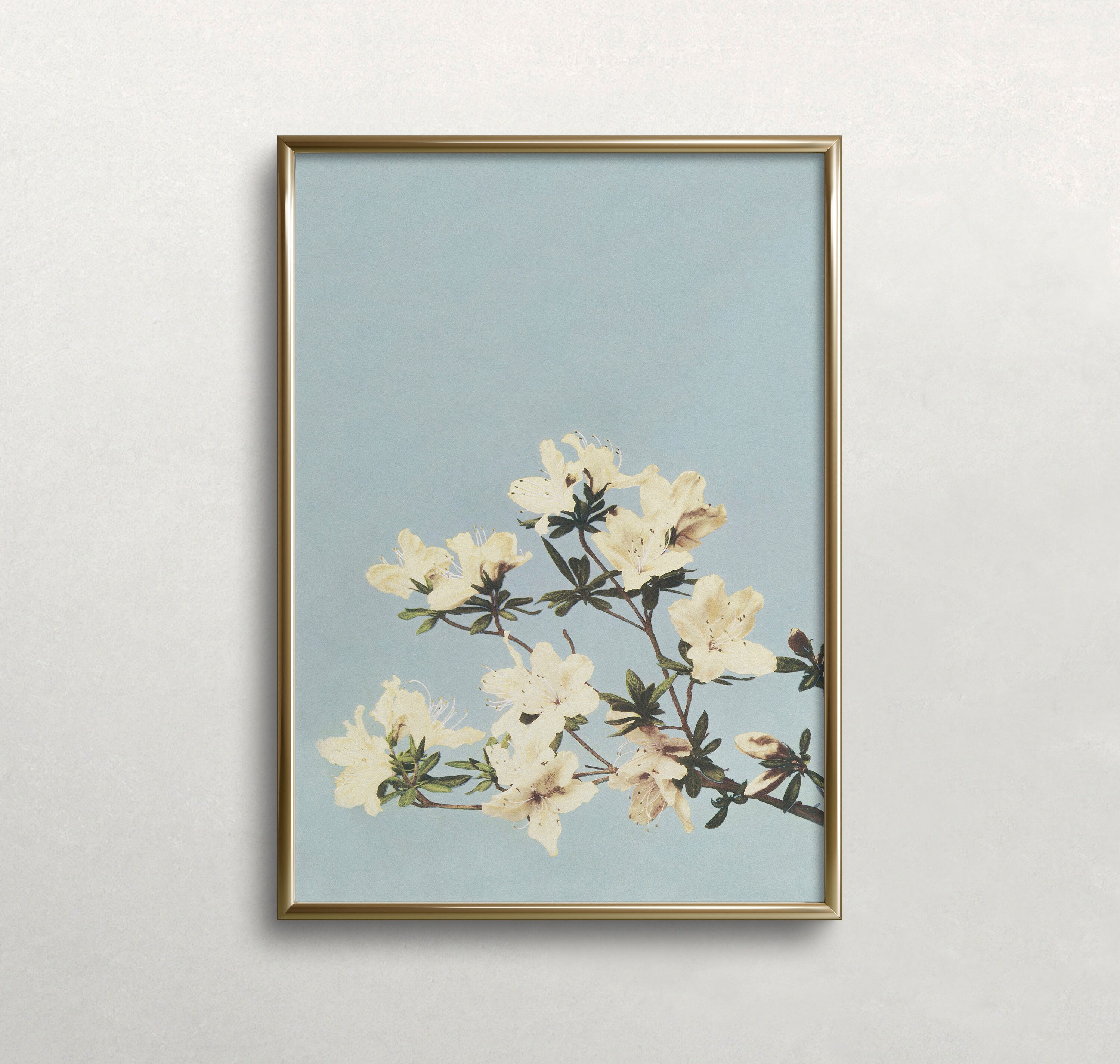 Vintage Japanese Azaleas Art Print: Pastel Floral Wall Decor (digital ...
