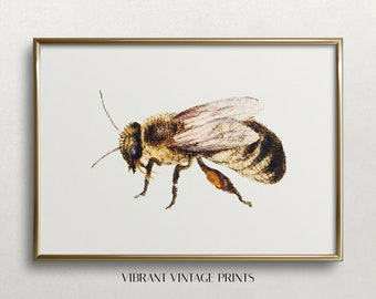 Vintage Honeybee Print: Muted Neutral Wall Art (Digital Download)