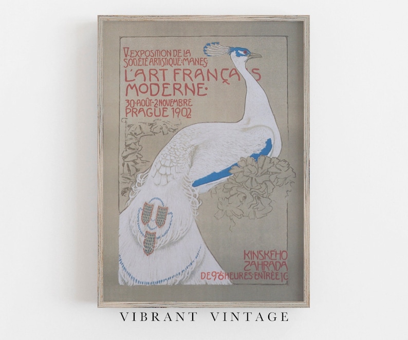 Op de afbeelding: Een ingelijste vintage kunstprint met een witte pauw met blauwe accenten en een gedetailleerde staart. De poster bevat Franse tekst en dateert uit 1902. Het kunstwerk staat tegen een neutrale achtergrond en is ingelijst in licht hout.