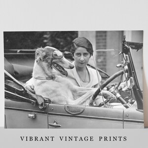 May include: Black and white vintage print featuring a woman and a dog in a classic car. The dog wears goggles and sits in the passenger seat. The woman is behind the steering wheel. The print has the text "VIBRANT VINTAGE PRINTS" at the bottom.