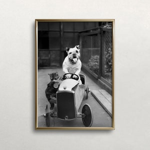Grappige hond kunst, zwart-witte kunst, hond rijdende auto, vintage kunst aan de muur, hondenchauffeur, kat en hond kunst, digitale DOWNLOAD, afdrukbare kunst aan de muur