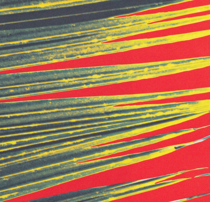 May include: Abstract art print featuring a vibrant composition of overlapping, diagonal lines. The lines are a mix of yellow and teal, set against a bold red background, creating a striking visual contrast.