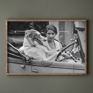 May include: Black and white framed print of a woman and a dog in a vintage car. The dog wears goggles and sits in the passenger seat. The woman is behind the steering wheel. The print is in a wooden frame.