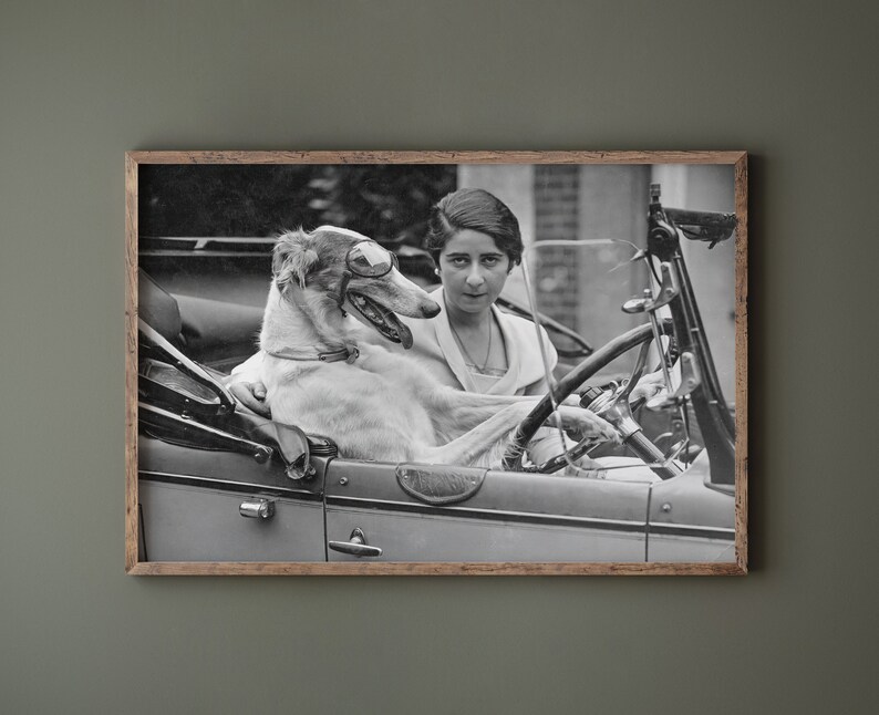May include: Black and white framed print of a woman and a dog in a vintage car. The dog wears goggles and sits in the passenger seat. The woman is behind the steering wheel. The print is in a wooden frame.