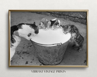 Cats Drinking Milk, Black and White Art, Vintage Wall Art, Cat Wall Art, Kittens and Milk, Digital DOWNLOAD, PRINTABLE Wall Art