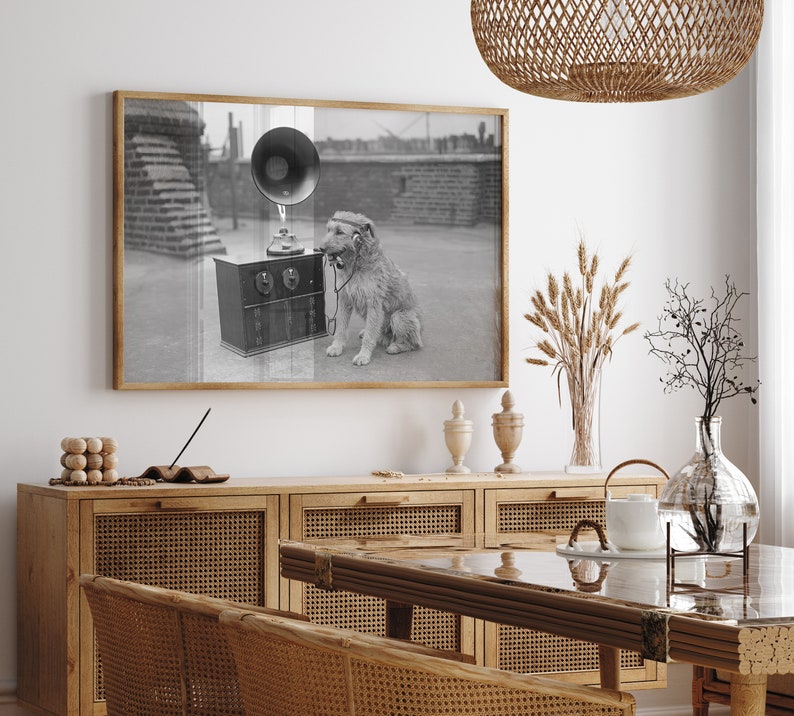 May include: Black and white framed print of a dog listening to a vintage gramophone. The dog is wearing headphones and sitting on a rooftop. The gramophone is black and silver, and the frame is wood.