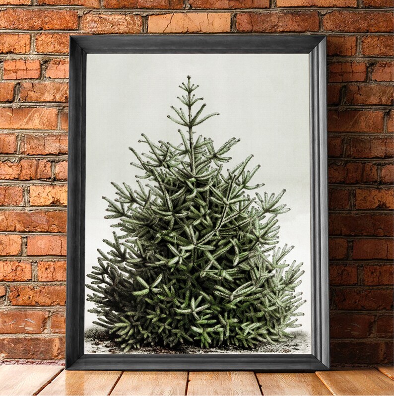 May include: A framed print featuring a detailed illustration of a green evergreen tree. The artwork is set against a light background and framed in a black border. The print is displayed on a wooden surface against a brick wall.
