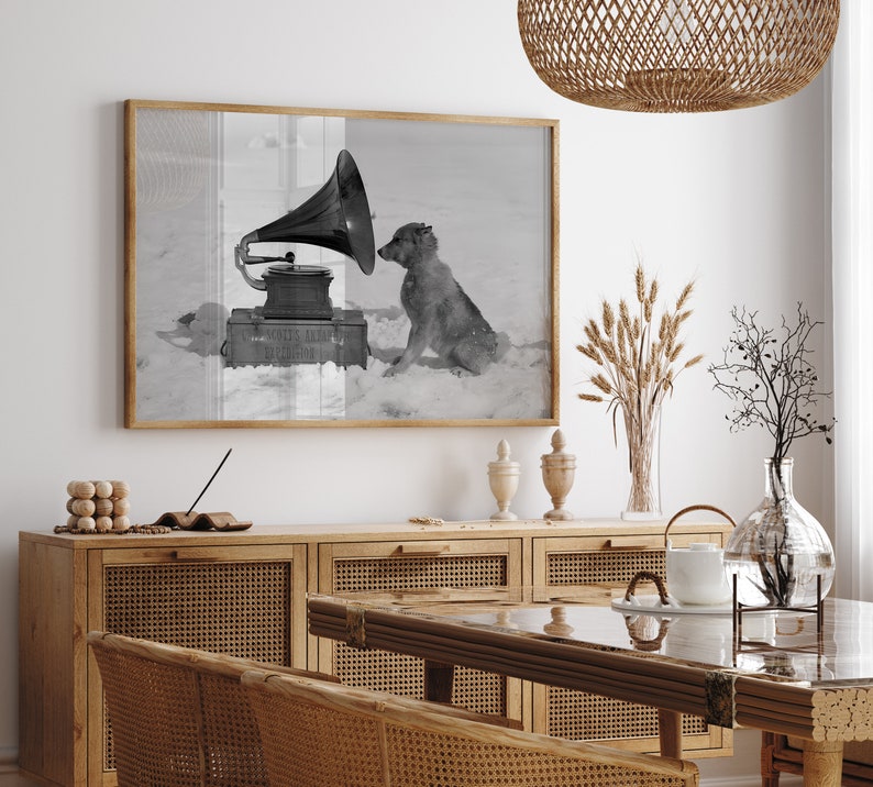 May include: A black and white photograph of a dog listening to a vintage gramophone. The dog is sitting on a snowy surface and the gramophone is on a wooden box. The photograph is framed and hanging on a white wall.