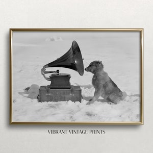 May include: A black and white photograph of a dog listening to a gramophone. The gramophone is on a wooden box labeled "Capt. Scott's Antarctic Expedition 1910". The dog is sitting in the snow.