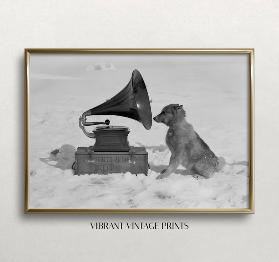 Funny Dog Art Print: Vintage Dog Listening to Music (Digital Download)