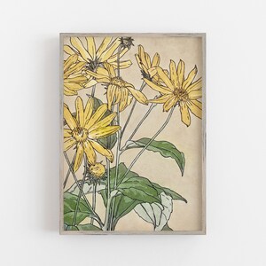May include: A framed print of a botanical illustration featuring a cluster of yellow flowers with green leaves on a beige background.