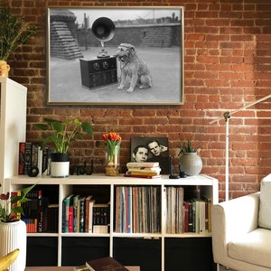 May include: Framed black and white photograph of a dog wearing headphones, sitting next to a vintage radio with a large horn speaker. The photograph is displayed on a brick wall above a white storage unit filled with books and vinyl records.