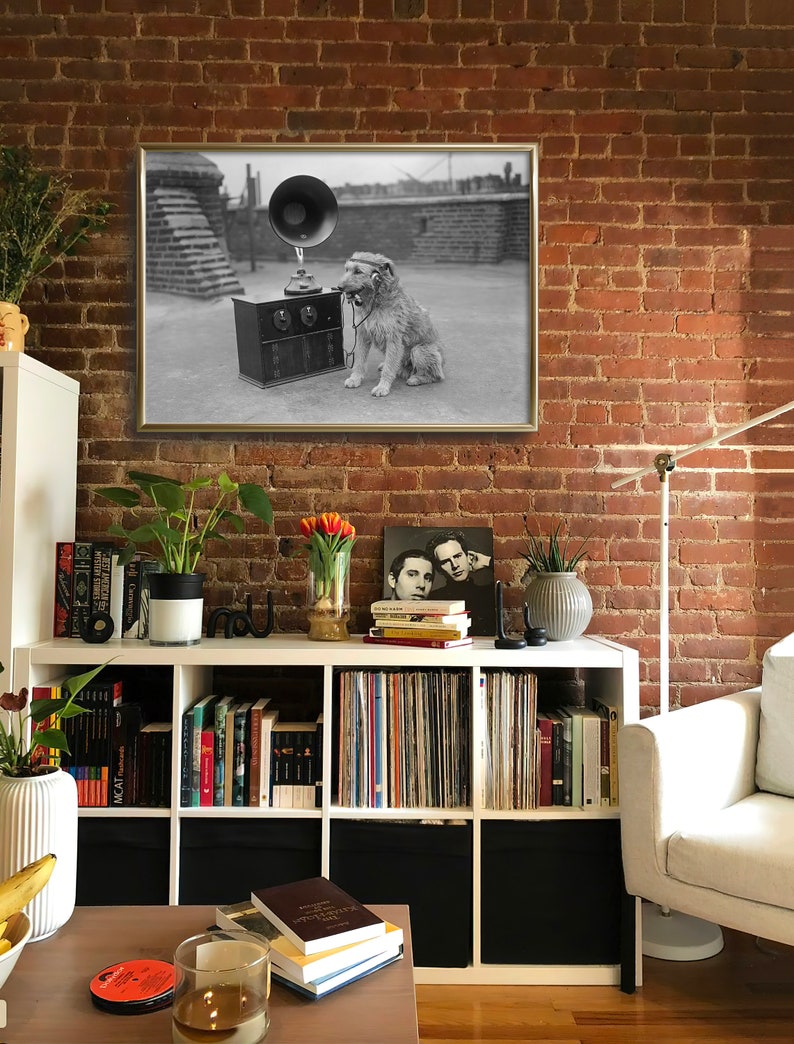 May include: Framed black and white photograph of a dog wearing headphones, sitting next to a vintage radio with a large horn speaker. The photograph is displayed on a brick wall above a white storage unit filled with books and vinyl records.