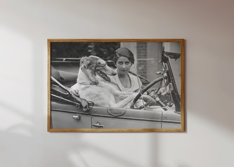 May include: Black and white framed print of a woman and a dog in a vintage car. The dog, a Borzoi, sits in the passenger seat. The woman is behind the steering wheel. The image is in a wooden frame.