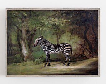 Vintage Zebra Art Print: 1763 Landscape (digital Download) - Etsy