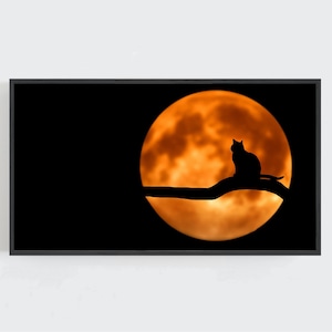 Halloween Frame TV Art, Black Cat and Moon Wall Art, Samsung Frame TV, Halloween Wall Art, Cat Wall Art, Dark and Moody Art Digital DOWNLOAD