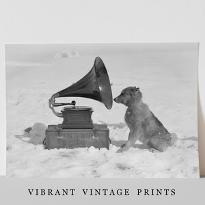 May include: A black and white photo of a dog listening to a gramophone in a snowy landscape. The gramophone is labeled "The Scott's Antarctic Expedition 1910".