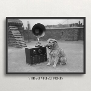 May include: Black and white framed print featuring a dog wearing headphones and holding a phone receiver, sitting next to a vintage radio with a large horn speaker. The print is labeled "VIBRANT VINTAGE PRINTS".